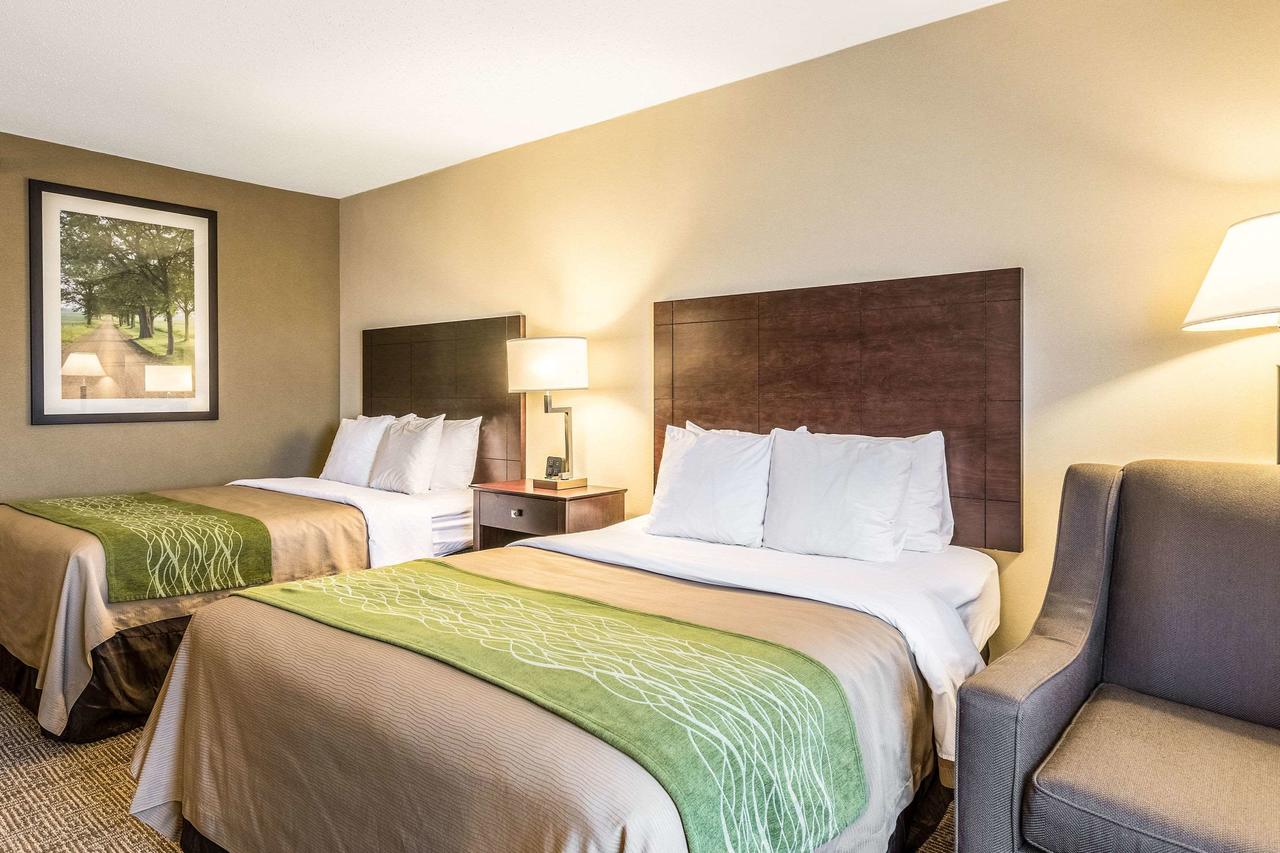 Comfort Inn Lansing - thumb 5