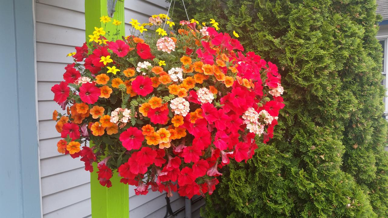 Bay Port Lodging - thumb 10