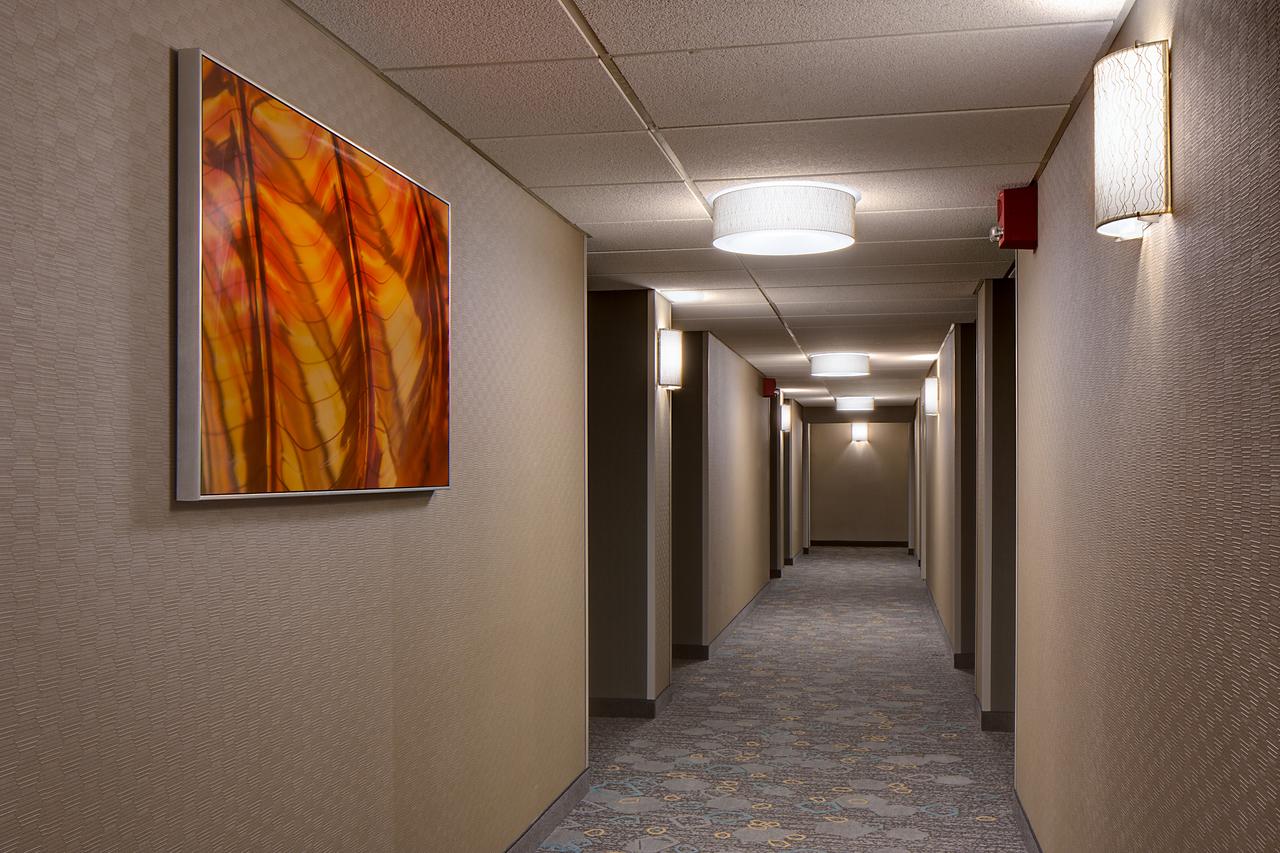 Courtyard Grand Rapids Downtown - thumb 7