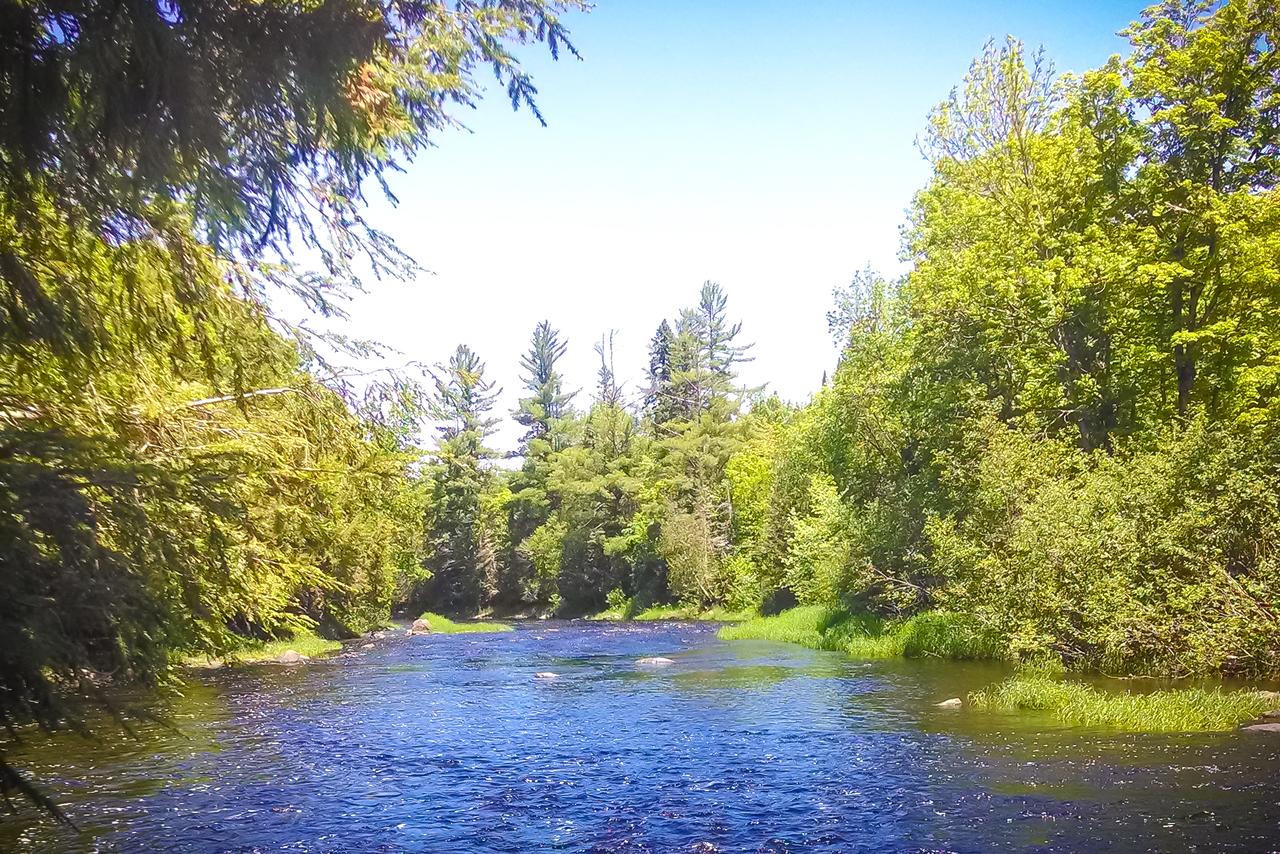 Black River Lodge - thumb 22