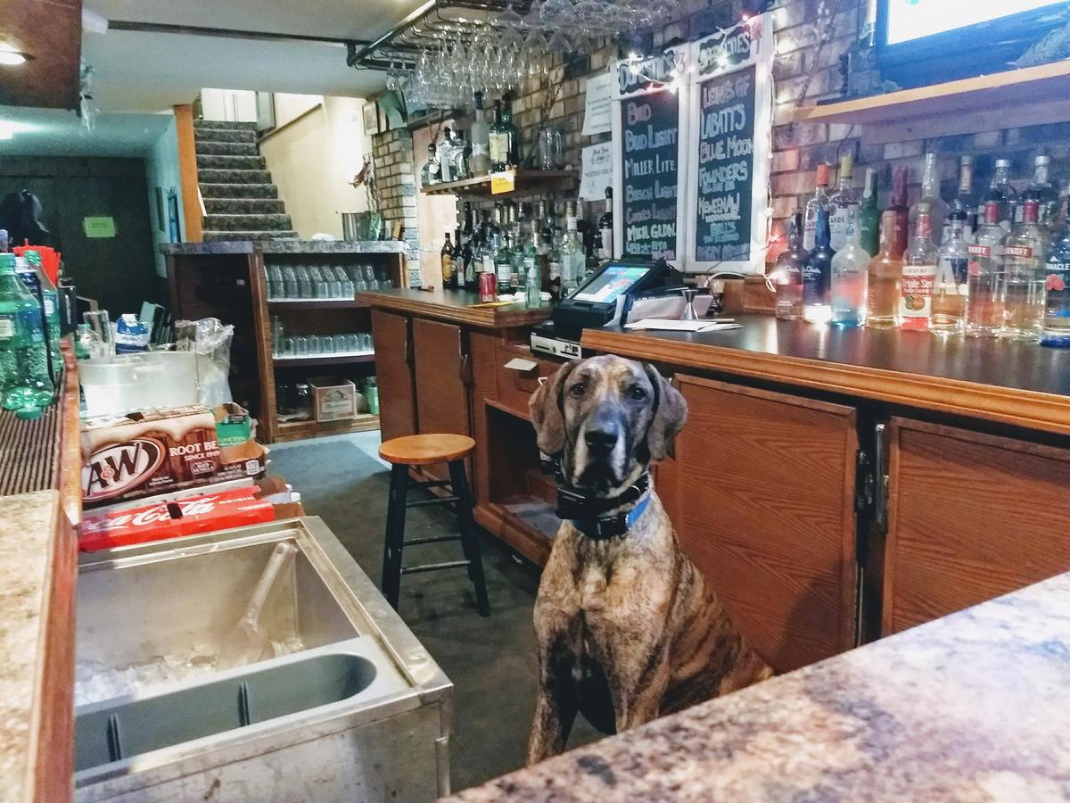 Black River Lodge - thumb 15