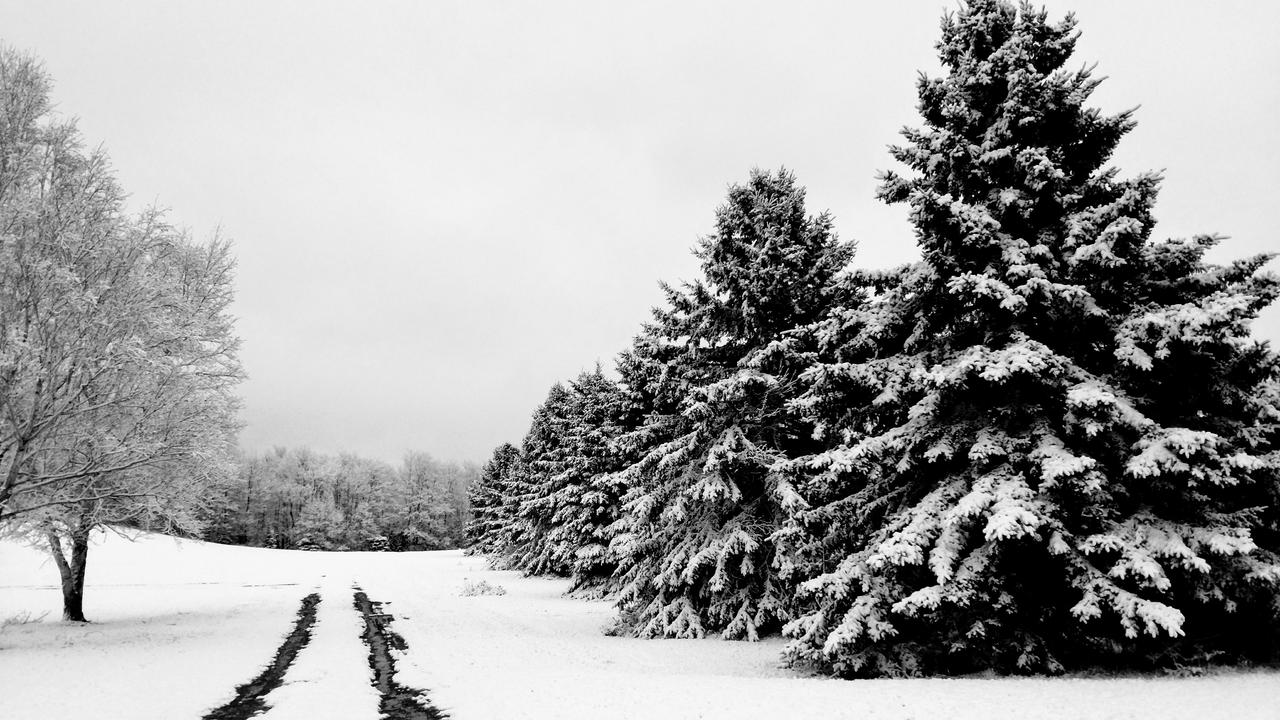 Black River Lodge - thumb 32