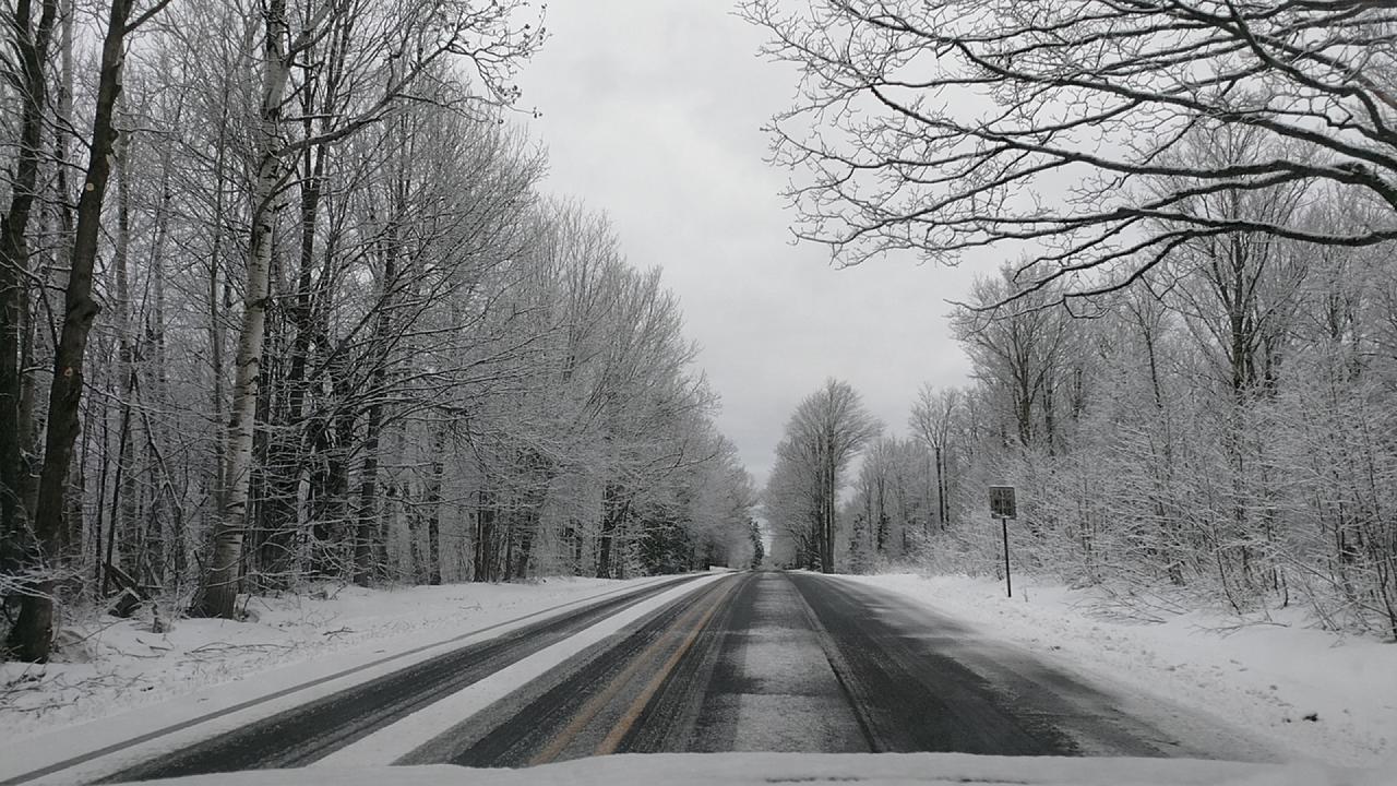 Black River Lodge - thumb 33