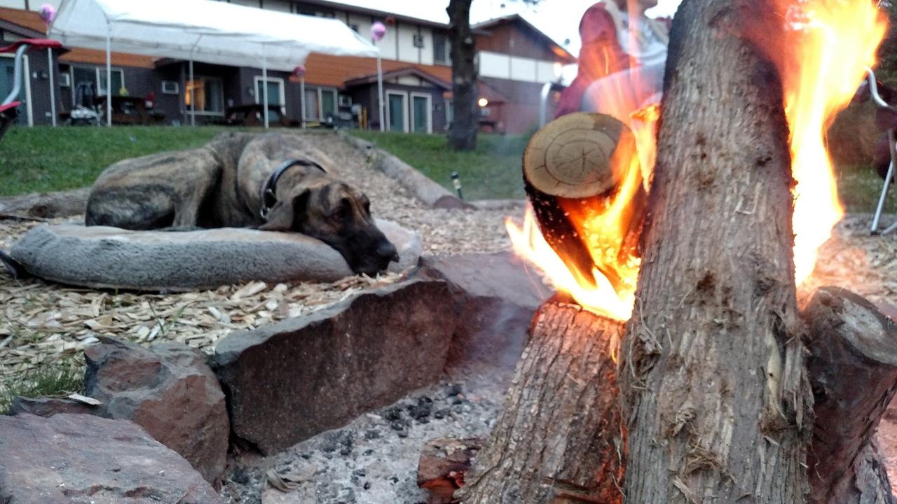 Black River Lodge - thumb 18