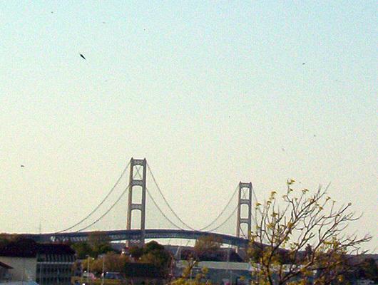 Waterfront Inn Mackinaw City - thumb 7