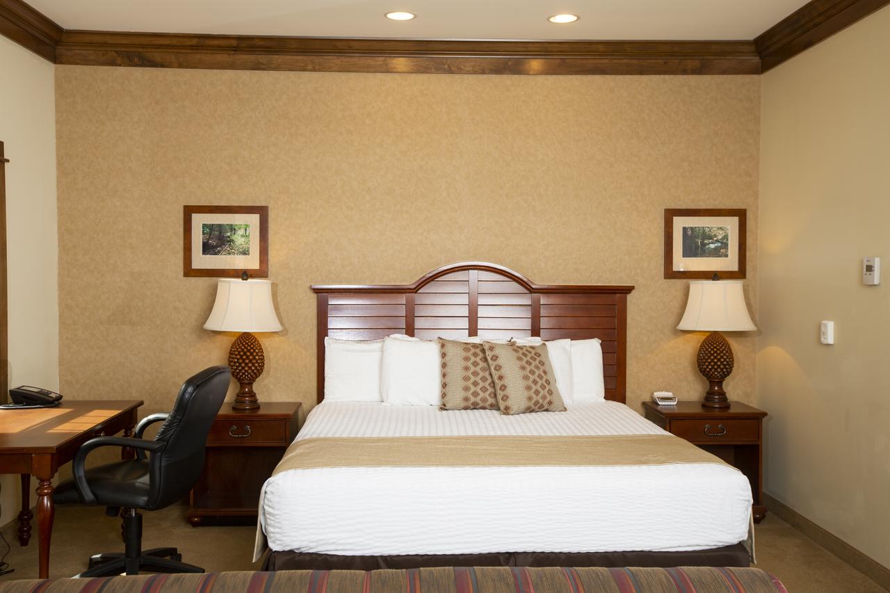 The Rockwell Lake Lodge - thumb 23