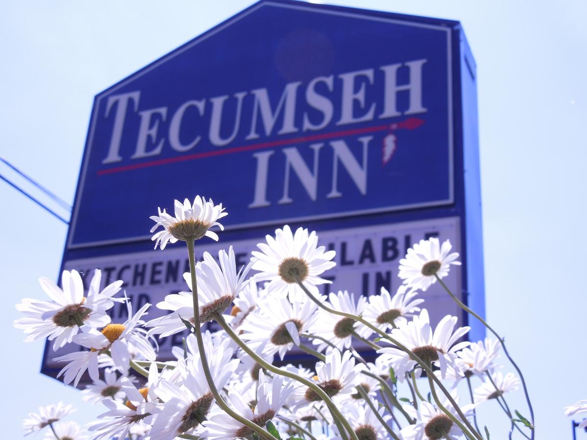 Tecumseh Inn Motel - thumb 15