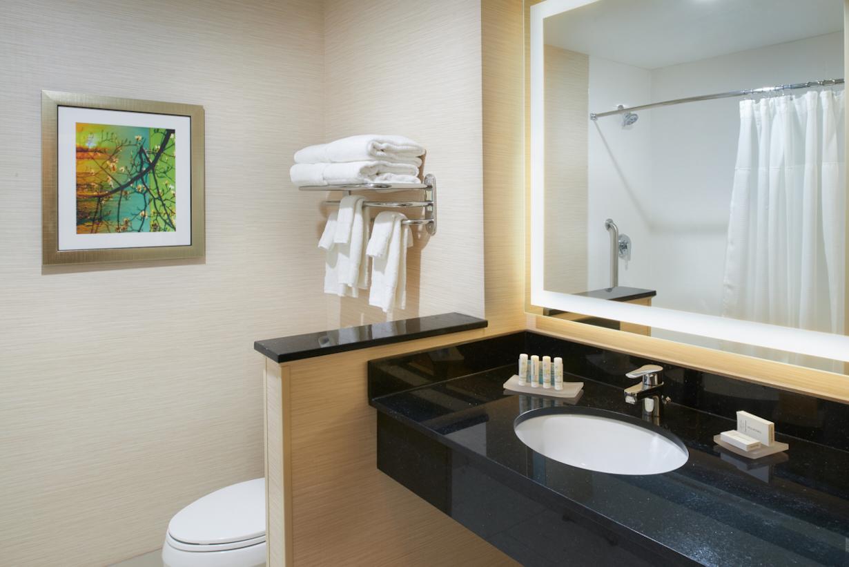 Fairfield Inn & Suites By Marriott Detroit Troy - thumb 11