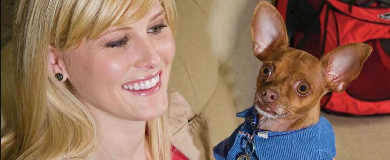 Home2 Suites By Hilton Taylor Detroit - thumb 0