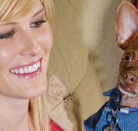 Home2 Suites By Hilton Taylor Detroit - Accommodation Michigan