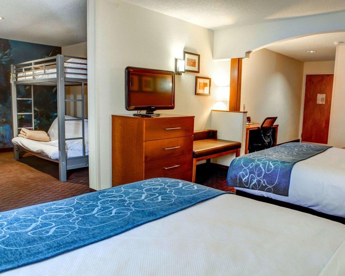 Comfort Suites Stevensville â€“ St. Joseph - thumb 9