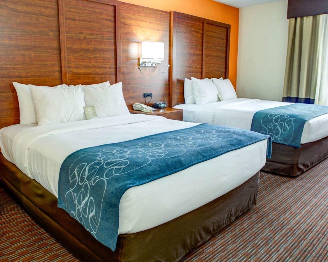 Comfort Suites Stevensville â€“ St. Joseph - thumb 10