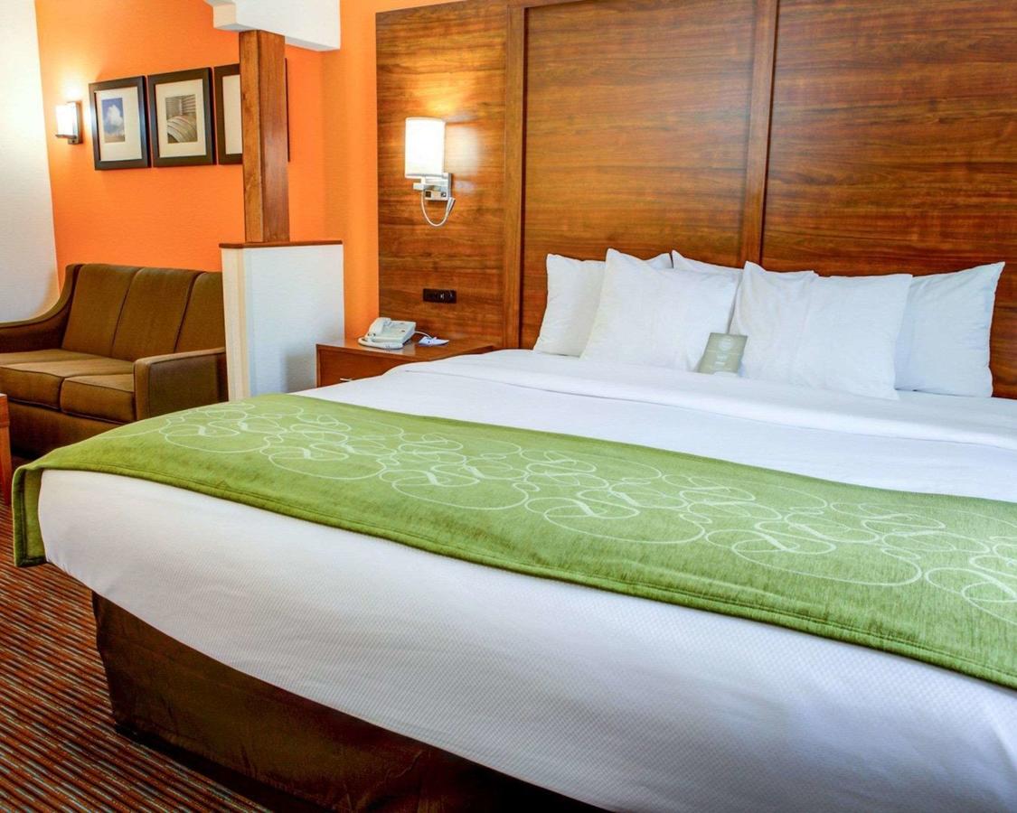 Comfort Suites Stevensville â€“ St. Joseph - thumb 29