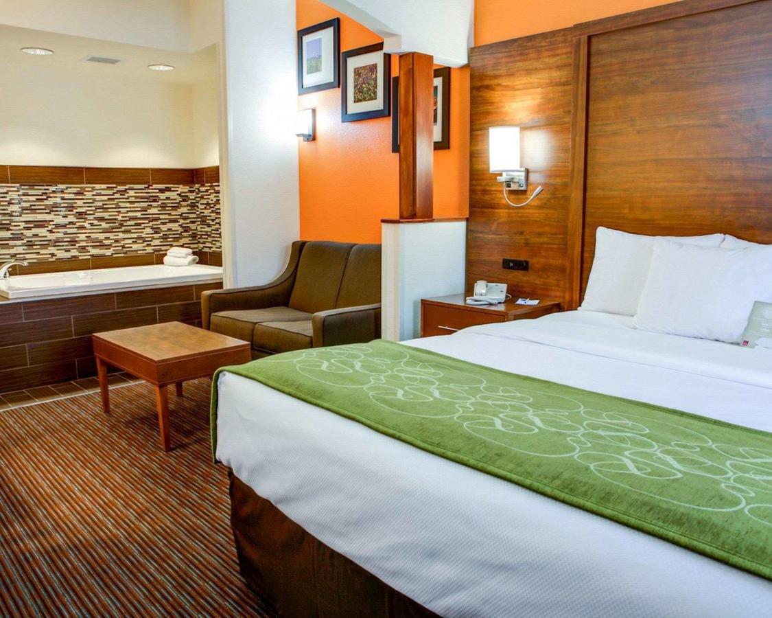 Comfort Suites Stevensville â€“ St. Joseph - thumb 15