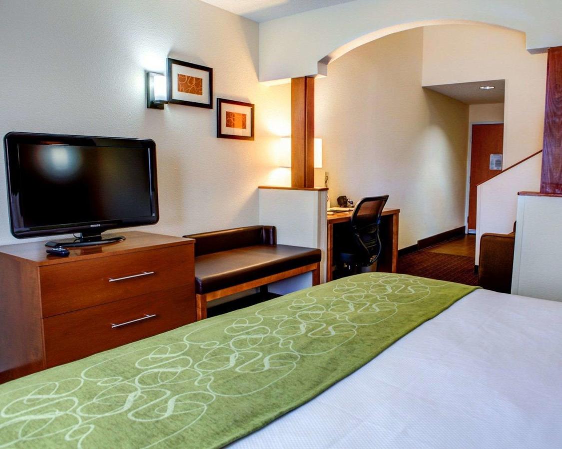 Comfort Suites Stevensville â€“ St. Joseph - thumb 23