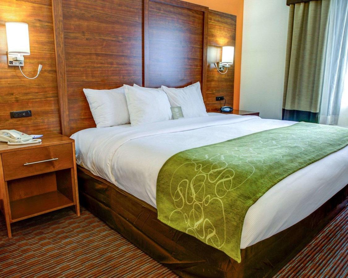Comfort Suites Stevensville â€“ St. Joseph - thumb 19
