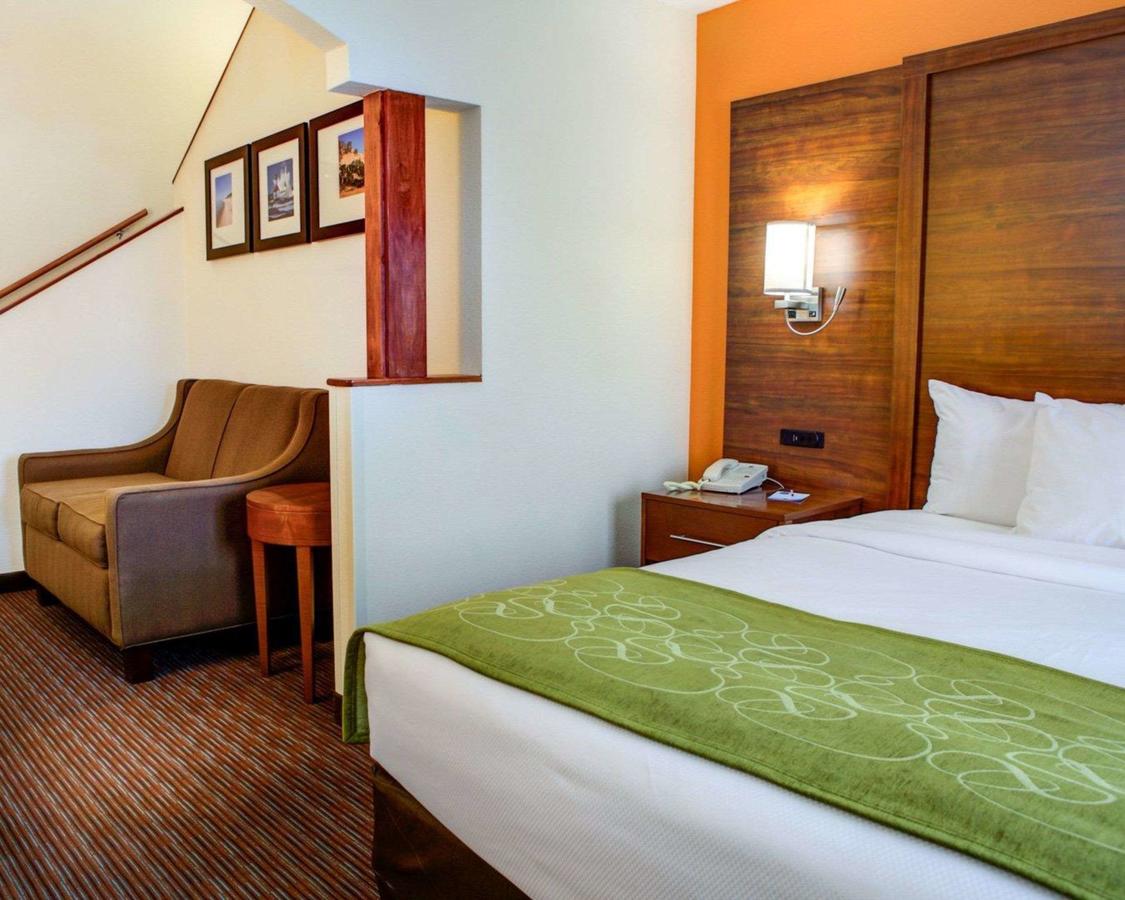 Comfort Suites Stevensville â€“ St. Joseph - thumb 22