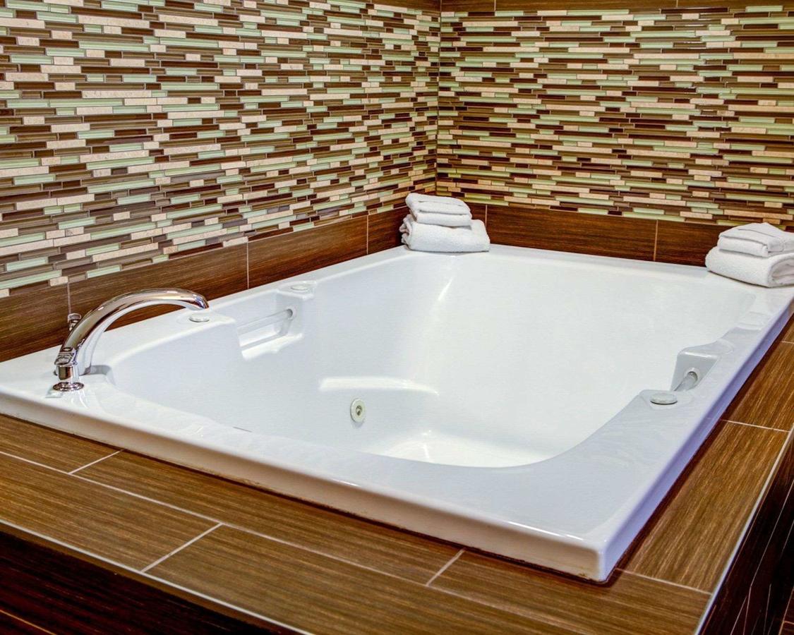 Comfort Suites Stevensville â€“ St. Joseph - thumb 20