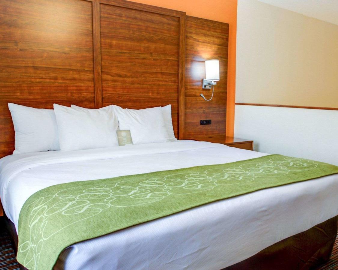Comfort Suites Stevensville â€“ St. Joseph - thumb 34