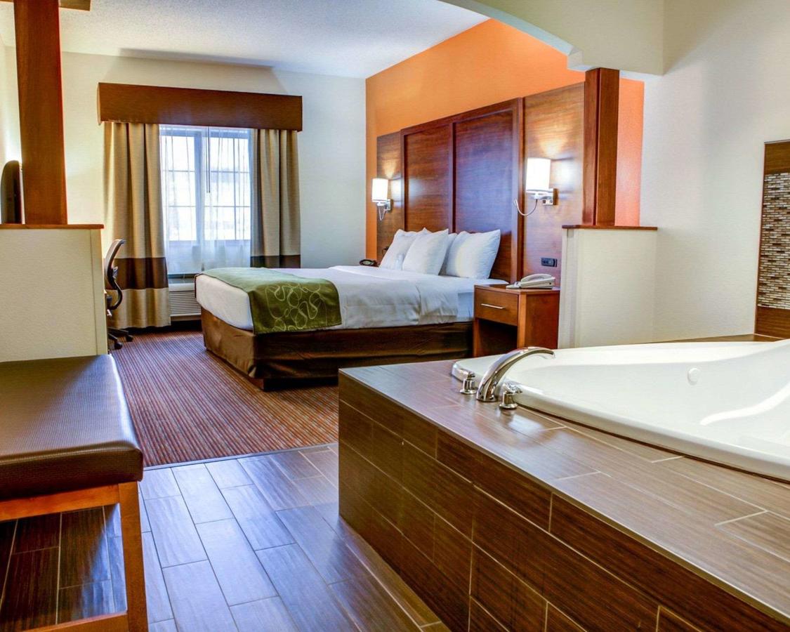 Comfort Suites Stevensville â€“ St. Joseph - thumb 33