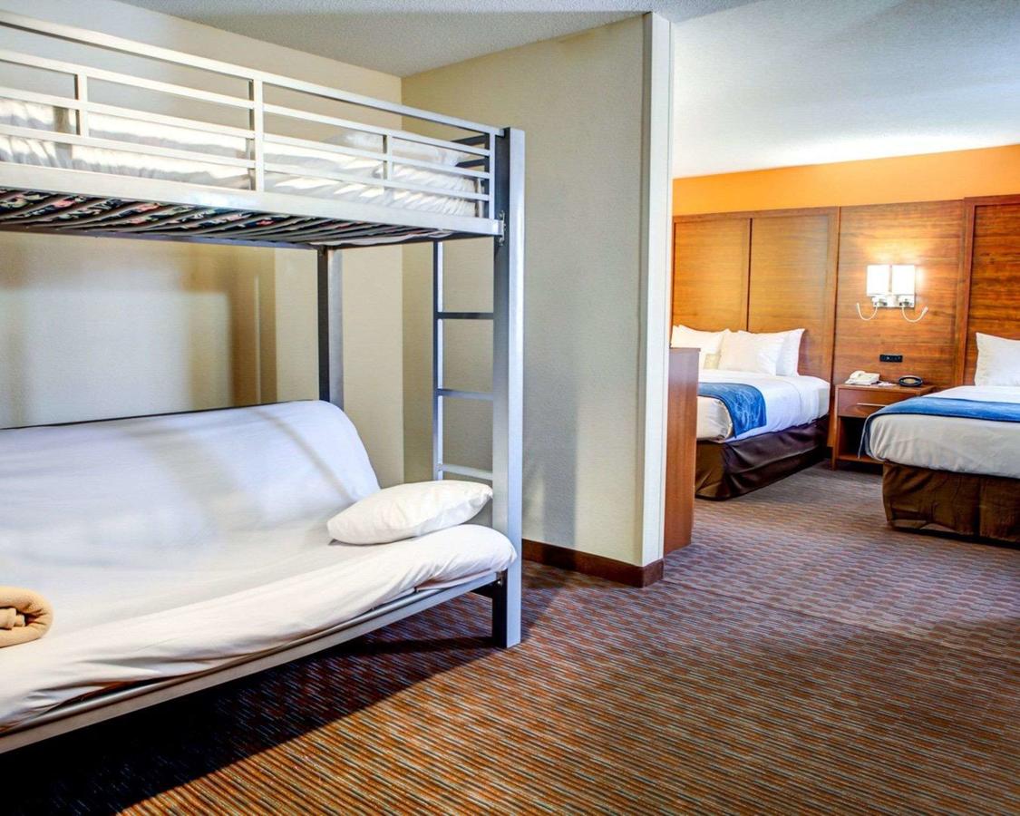 Comfort Suites Stevensville â€“ St. Joseph - thumb 24
