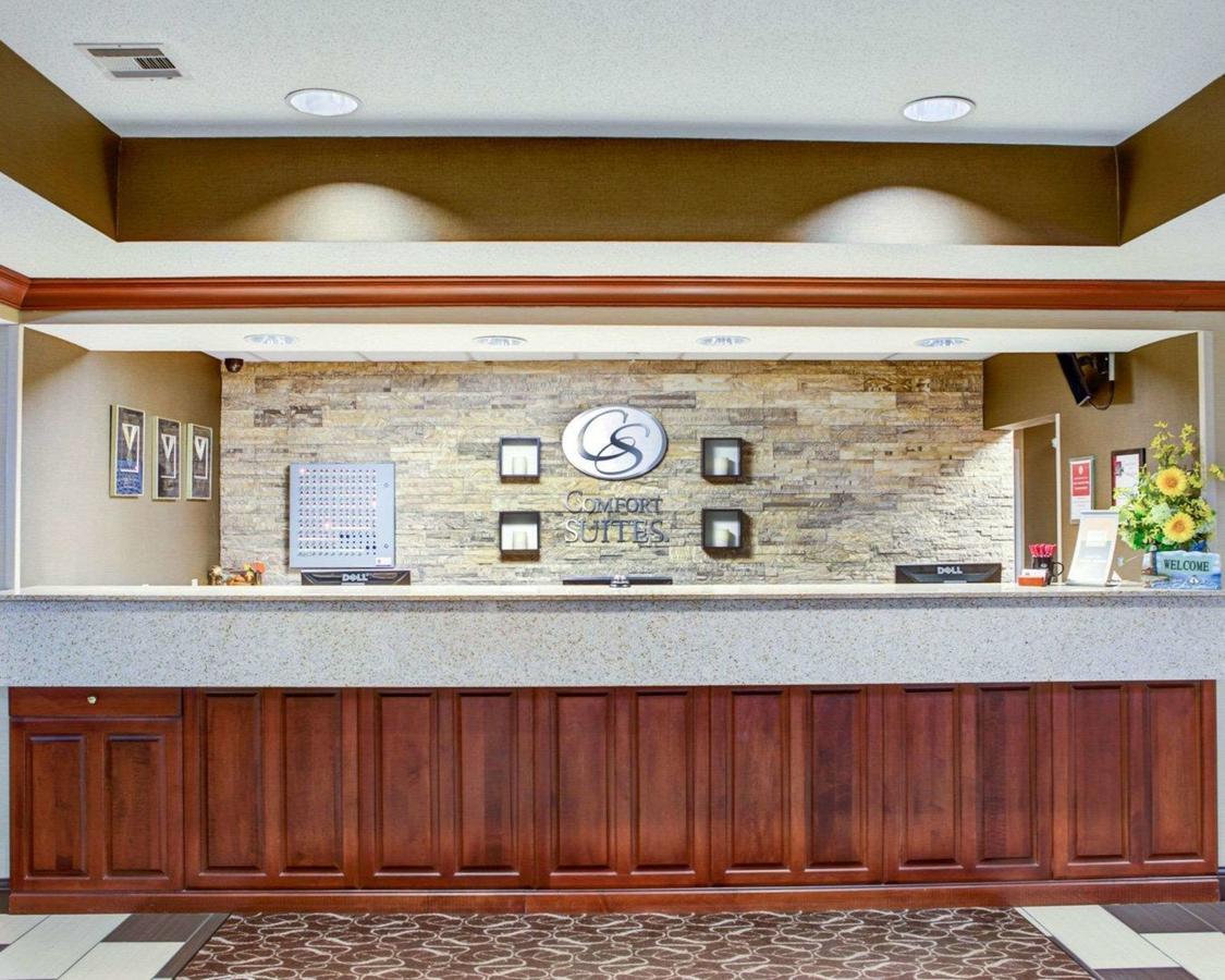 Comfort Suites Stevensville â€“ St. Joseph - thumb 30