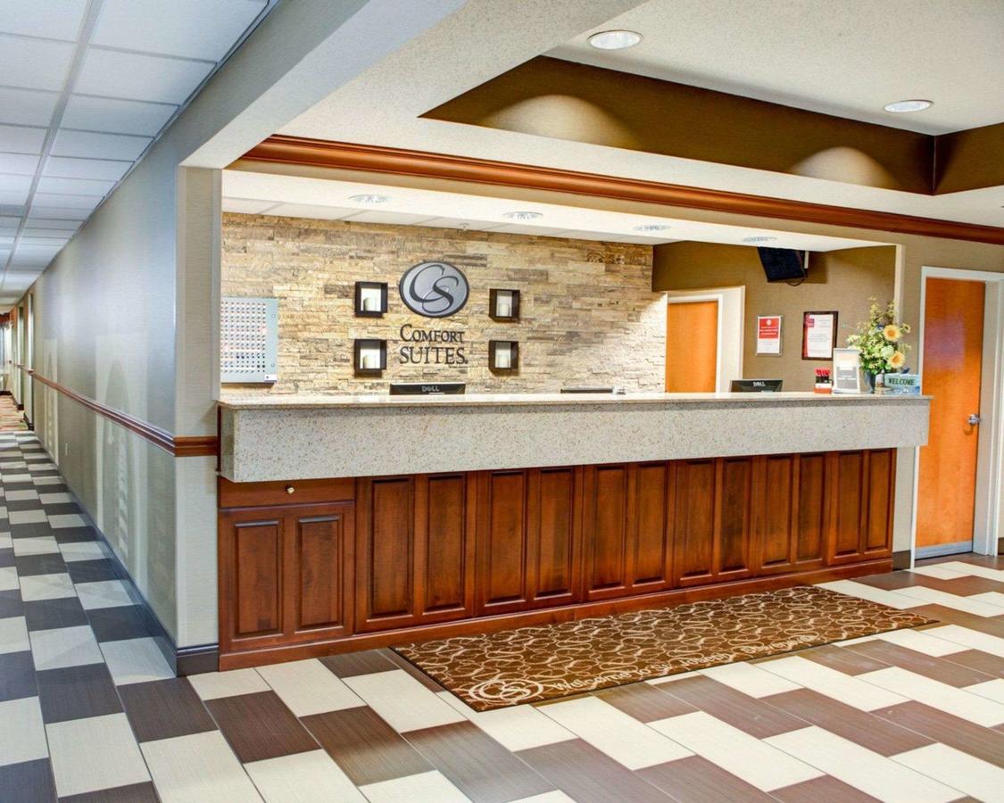 Comfort Suites Stevensville â€“ St. Joseph - thumb 21