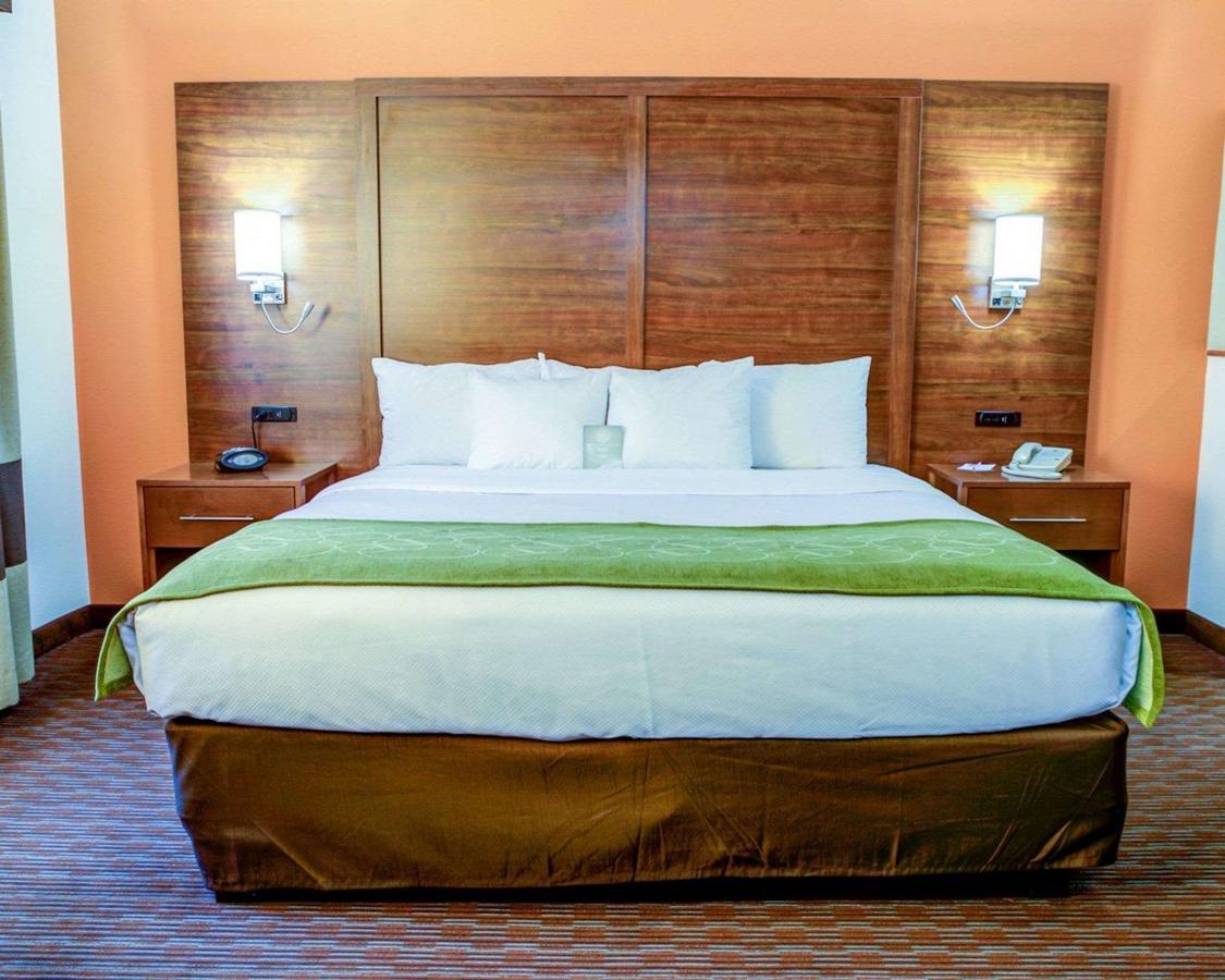 Comfort Suites Stevensville â€“ St. Joseph - thumb 11