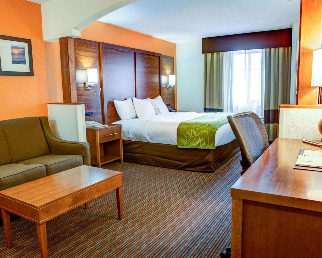 Comfort Suites Stevensville â€“ St. Joseph - thumb 27