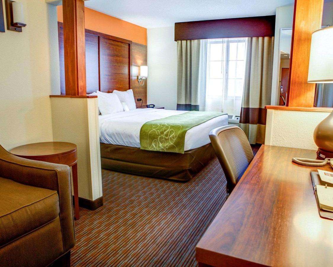 Comfort Suites Stevensville â€“ St. Joseph - thumb 18