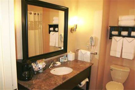 Hampton Inn And Suites Flint/Grand Blanc - thumb 12