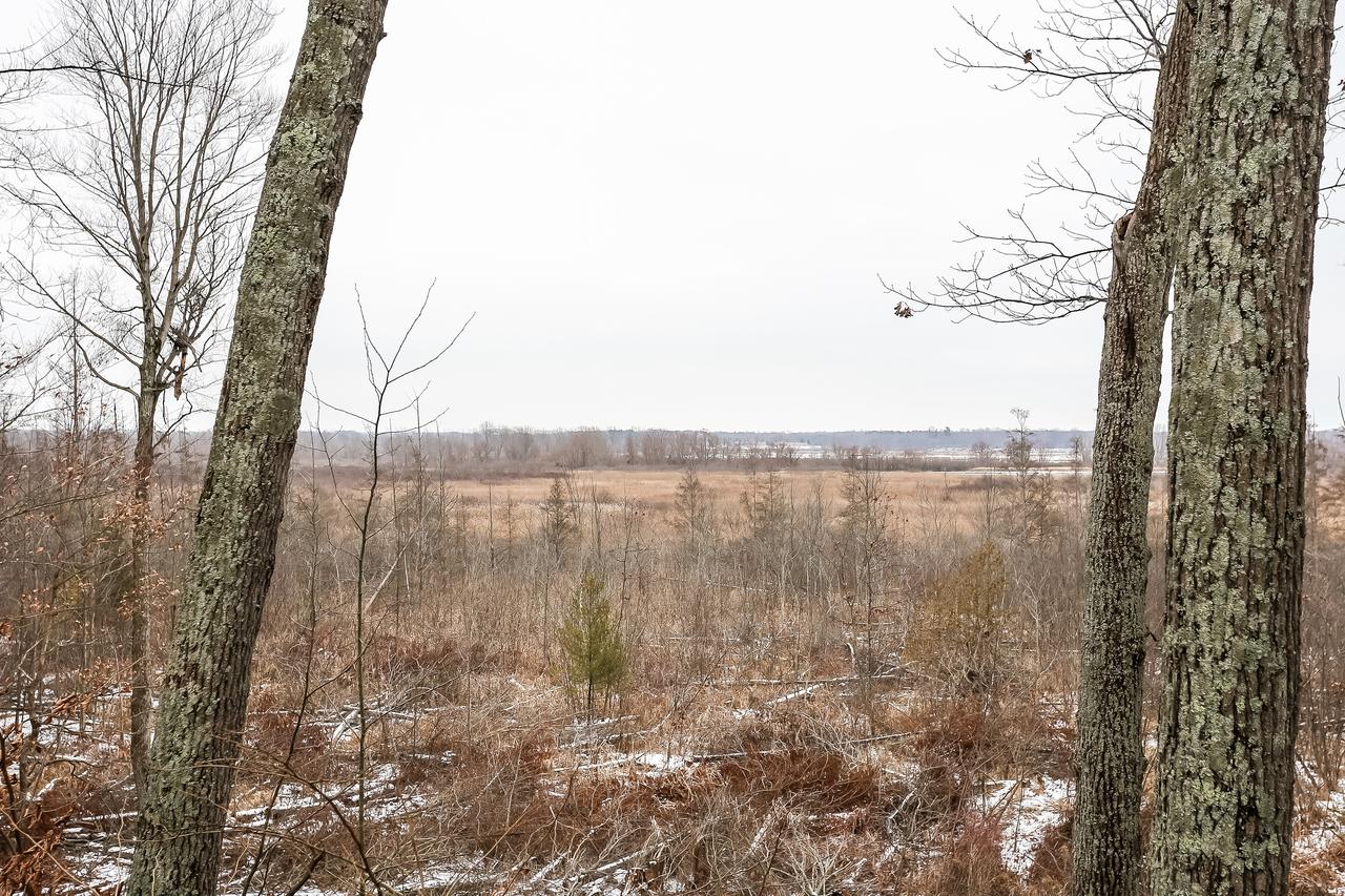 River Walk - thumb 13