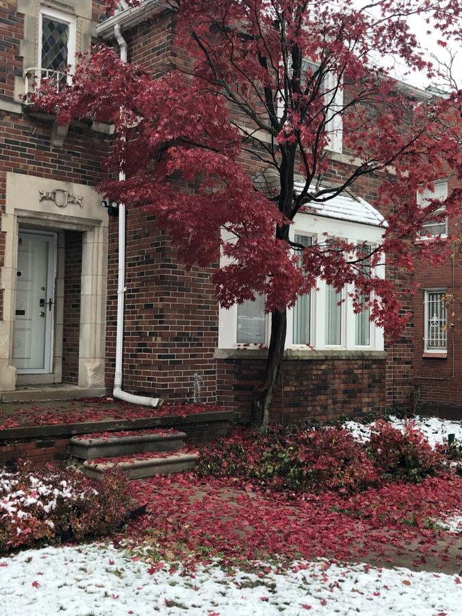 The Parkside / University District/15m To Downtown - thumb 26