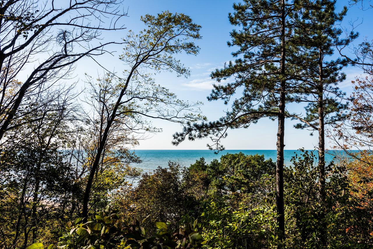 Lake Breeze - thumb 8