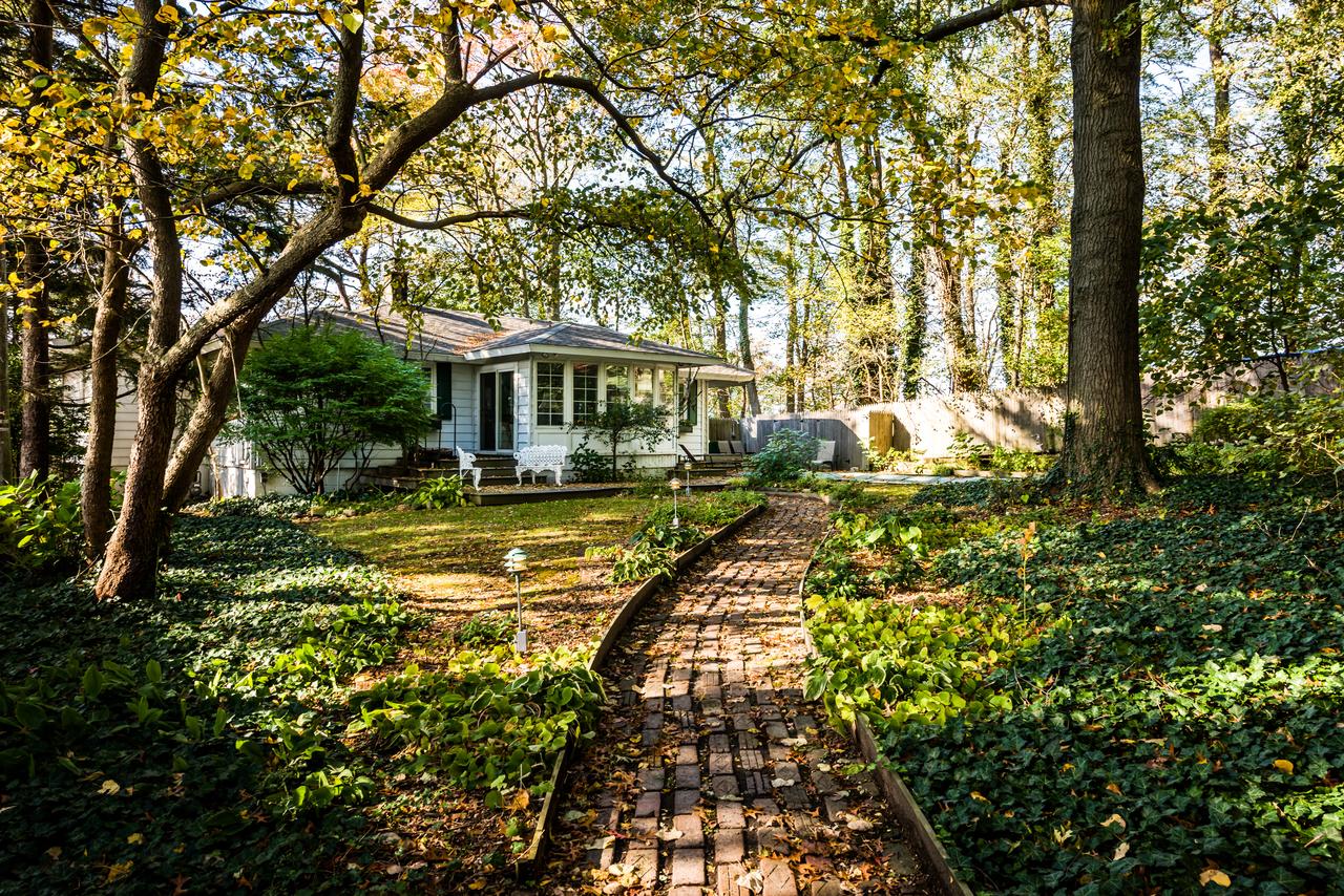 Lake Breeze - thumb 2