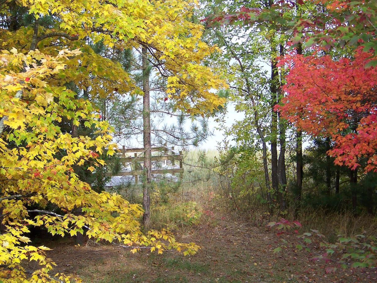 Peterson's Cottages - thumb 1