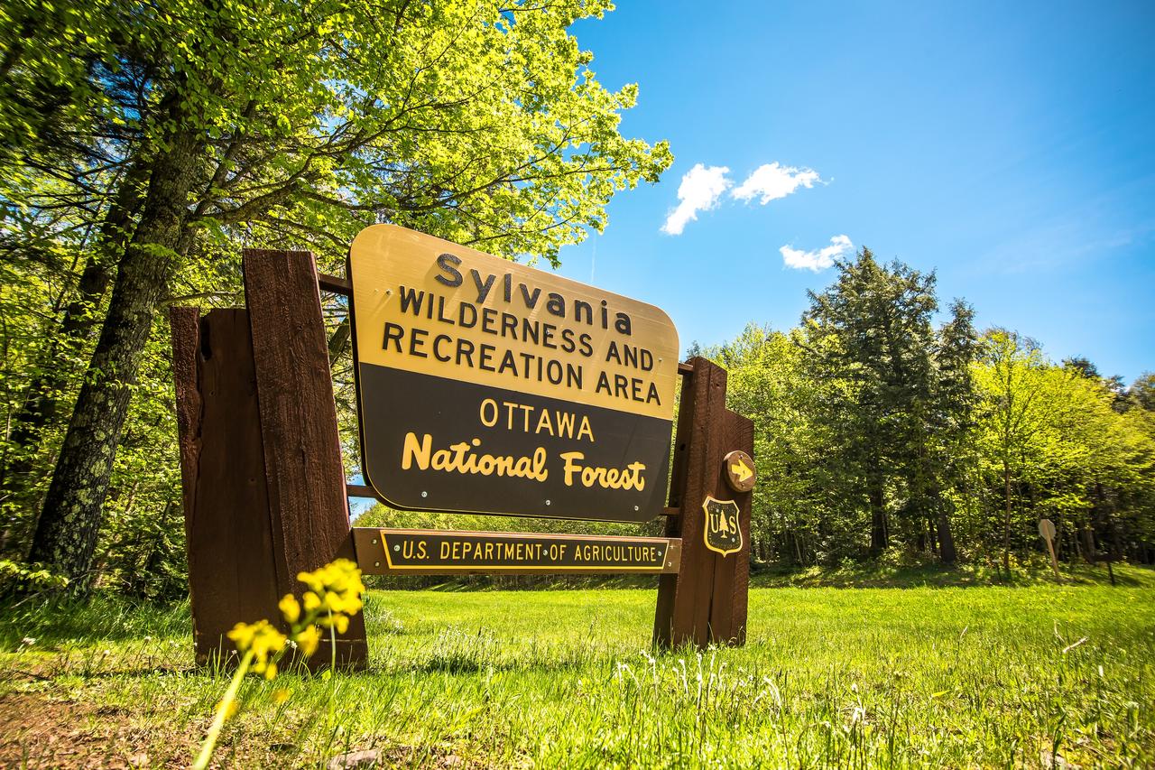 The Loon Cabin - 1 Bedroom - thumb 23