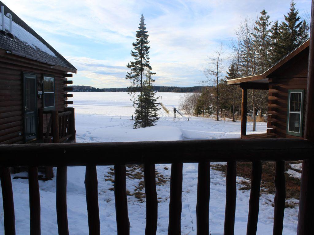 The Loon Cabin - 1 Bedroom - thumb 32