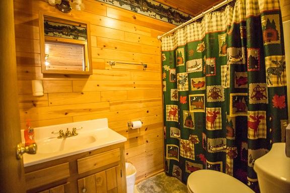 The Loon Cabin - 1 Bedroom - thumb 4