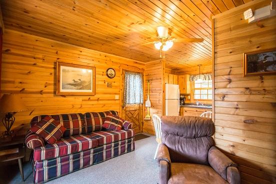 The Loon Cabin - 1 Bedroom - thumb 3