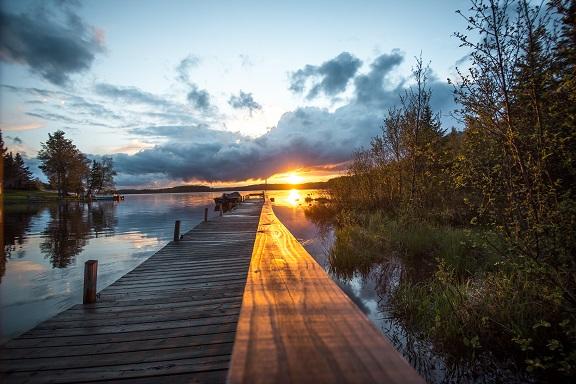 The Loon Cabin - 1 Bedroom - thumb 26