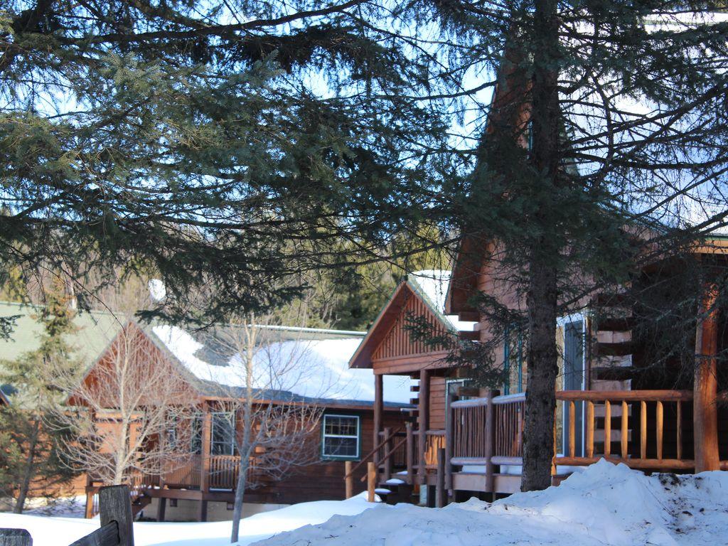 The Loon Cabin - 1 Bedroom - thumb 34