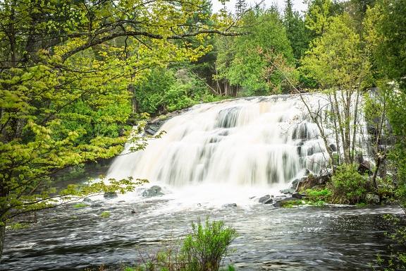 The Loon Cabin - 1 Bedroom - thumb 28