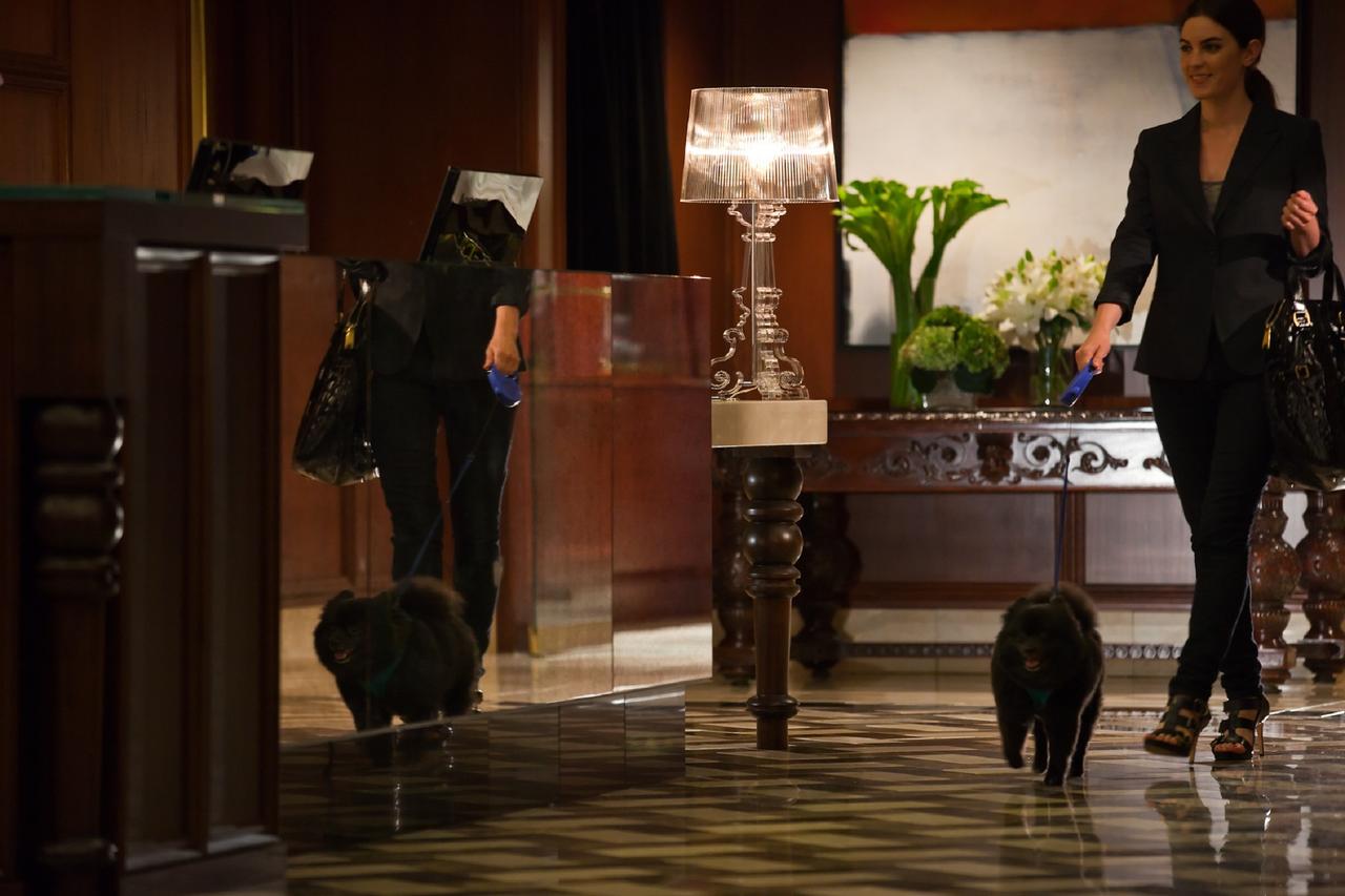 Grand Hotel Minneapolis - thumb 33