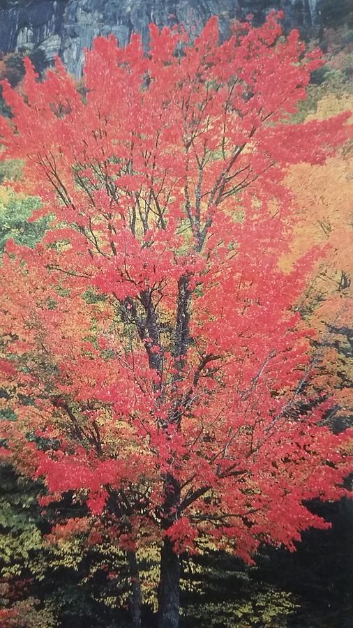 EastGate Inn - thumb 27