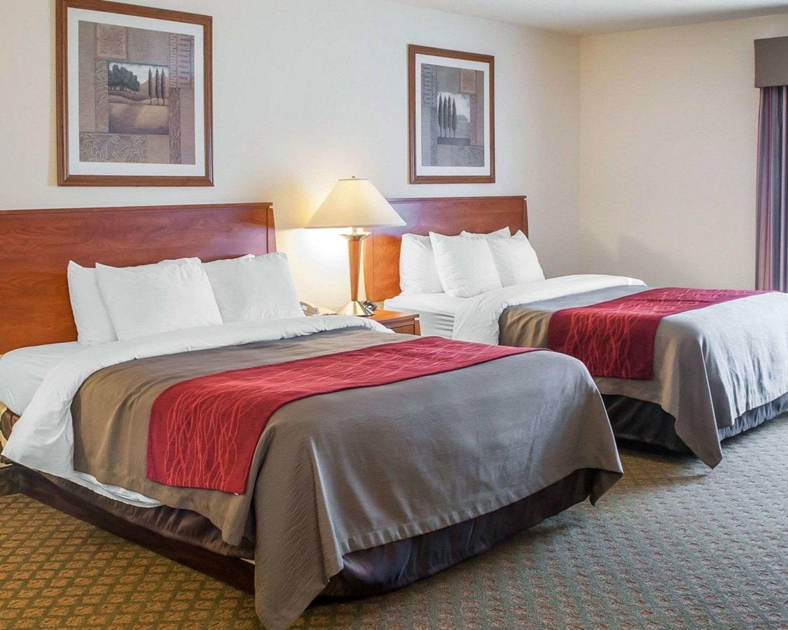 Comfort Inn & Suites Socorro - thumb 9