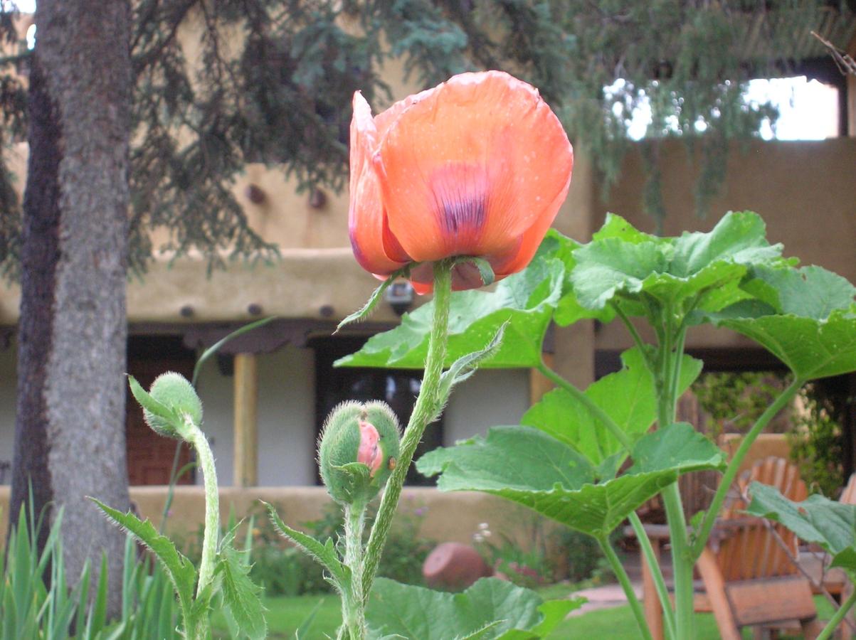 Inn On La Loma Plaza - thumb 19