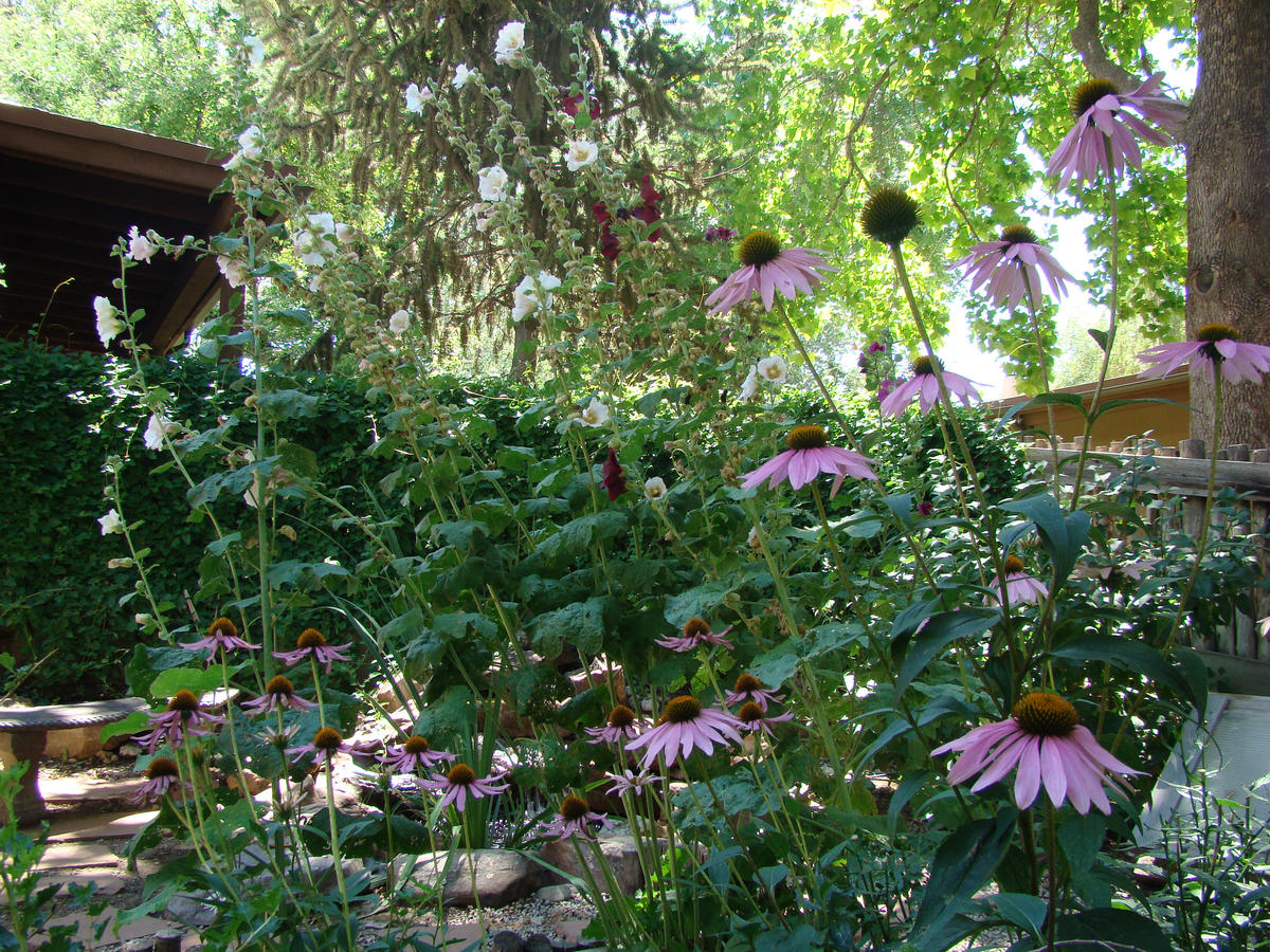 The Historic Taos Inn - thumb 12