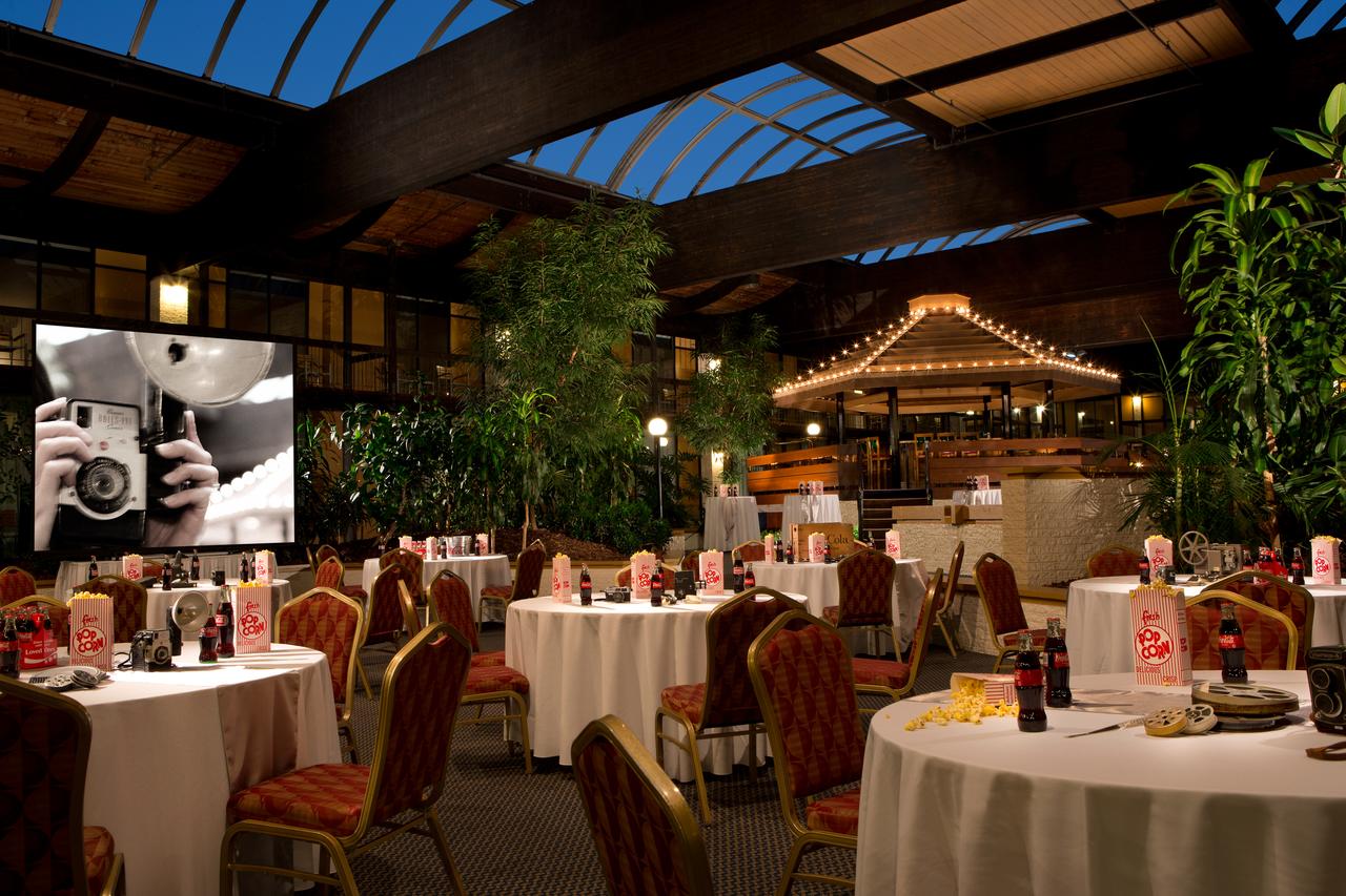 Millennium Buffalo - thumb 18