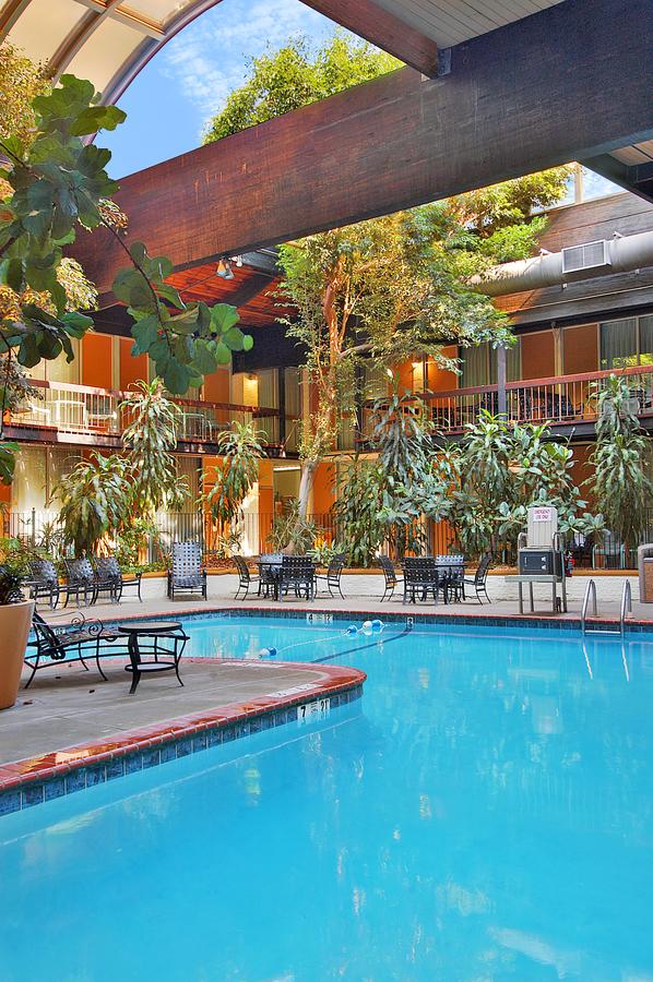 Millennium Buffalo - thumb 8